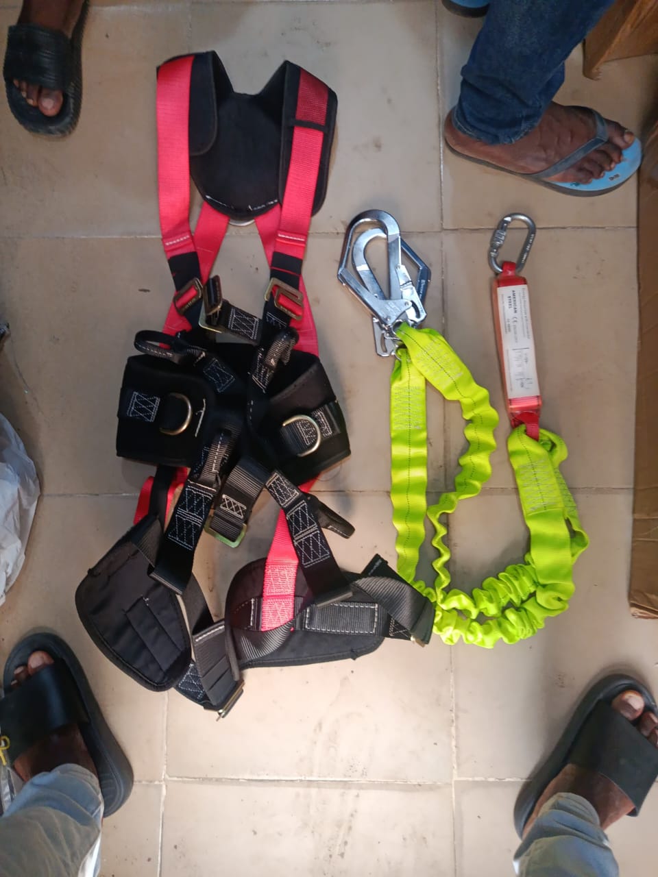 Double body harness